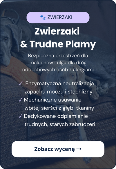 Pakiet Zwierzaki i Trudne Zabrudzenia - Usuwanie zapachu moczu psa i kota Kraków. Enzymatyczna neutralizacja zapachów stęchlizny, wyczesywanie sierści z tkaniny oraz dedykowane odplamianie trudnych plam.
